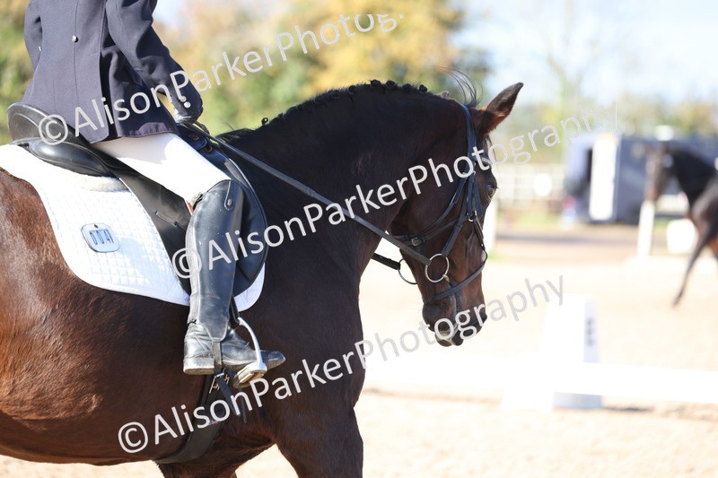 20251101-0559 - Class 4 - Novice 2