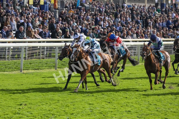 141023-Race 2-Whiskey Pete-0348 - Race 2 1.50pm Play Coral 'Racing-Super-Series' For Free Nursery Handicap
