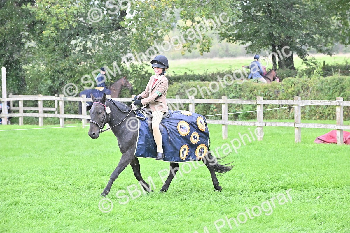SBM_42994 - S12 - Family Horse & Pony