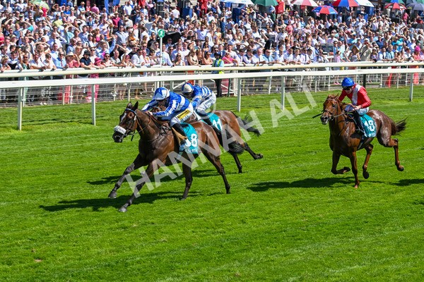 120725-Race 3-Fox Legacy-5690 - Race 3 3.10pm John Smith's Cup Handicap