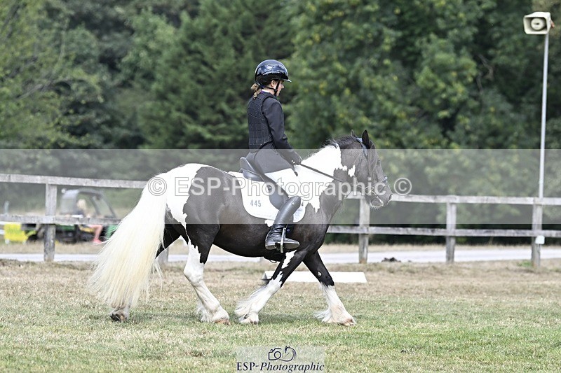 250821A-114251-15303 - DR 11.00 to 12.00