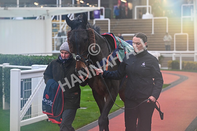 141125-Race 3-Isaac Des Obeaux-9845 - Race 3