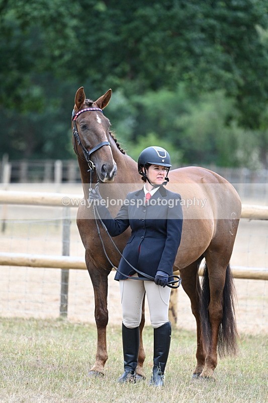 WJ7_9839 - Class 5a Most Handsome Gelding (above 14.2hh)