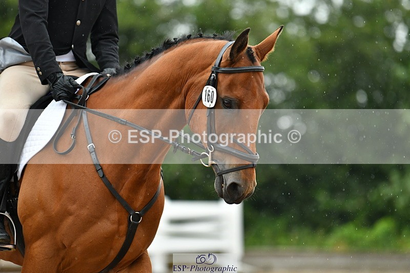 230708A-122033-02772 - Prelim 13