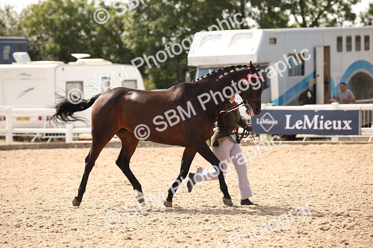SBM_07046 - Class 25 IH Foreign Breeds- Pure bred