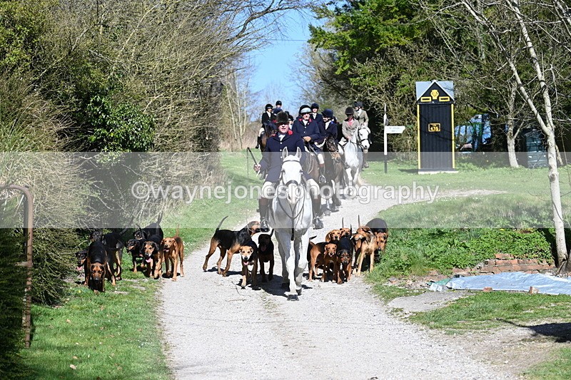 WJ7_9655 - Home for hunt tea !