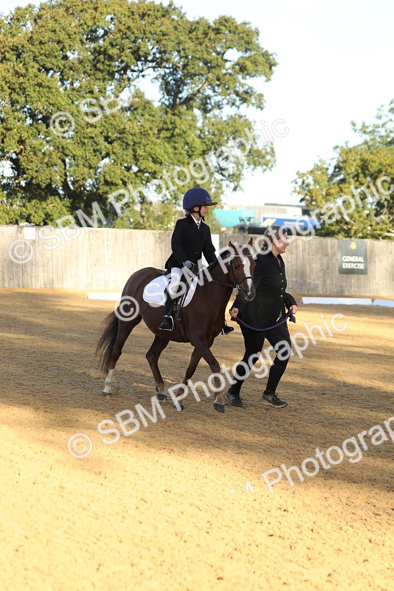 SBM_33645 - D26 - Starers - Lead Rein