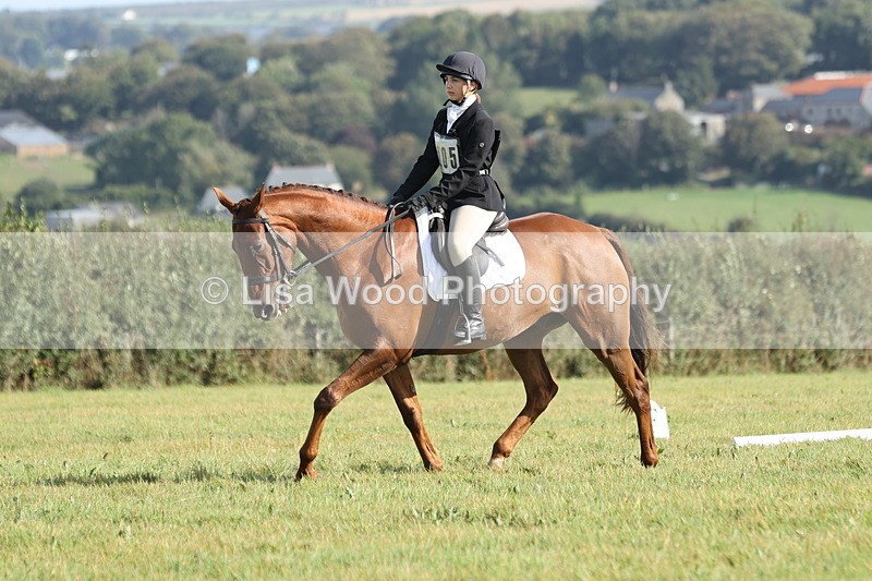 JPP_8038 - Class 2A: Trekenning Open: Dressage