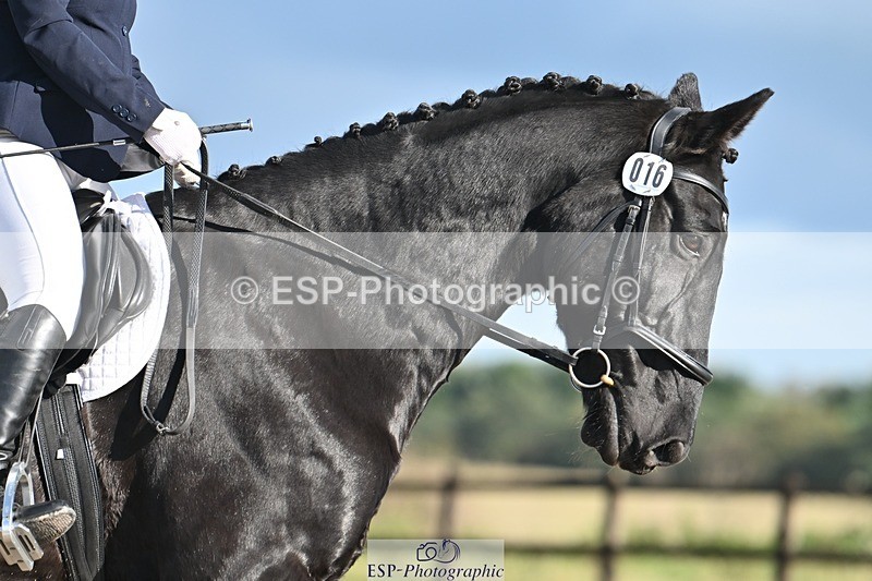 231105-124629-01191 - Cls 3 Prelim 12 12.40 to End