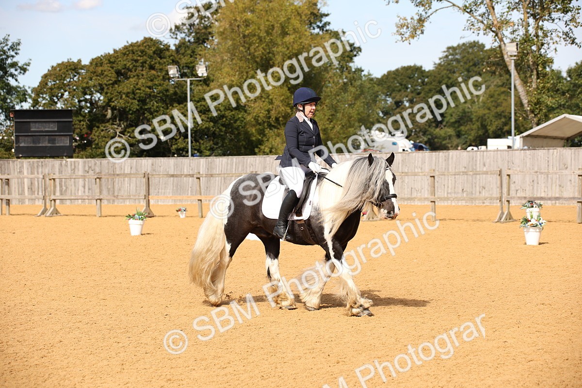 SBM_21759 - D5 - Small Tour Championship - Intro C
