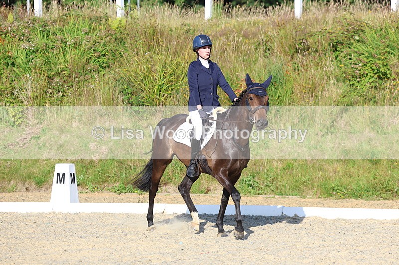 3E7A3728 - Class 2: Intro 1 2024 Section B