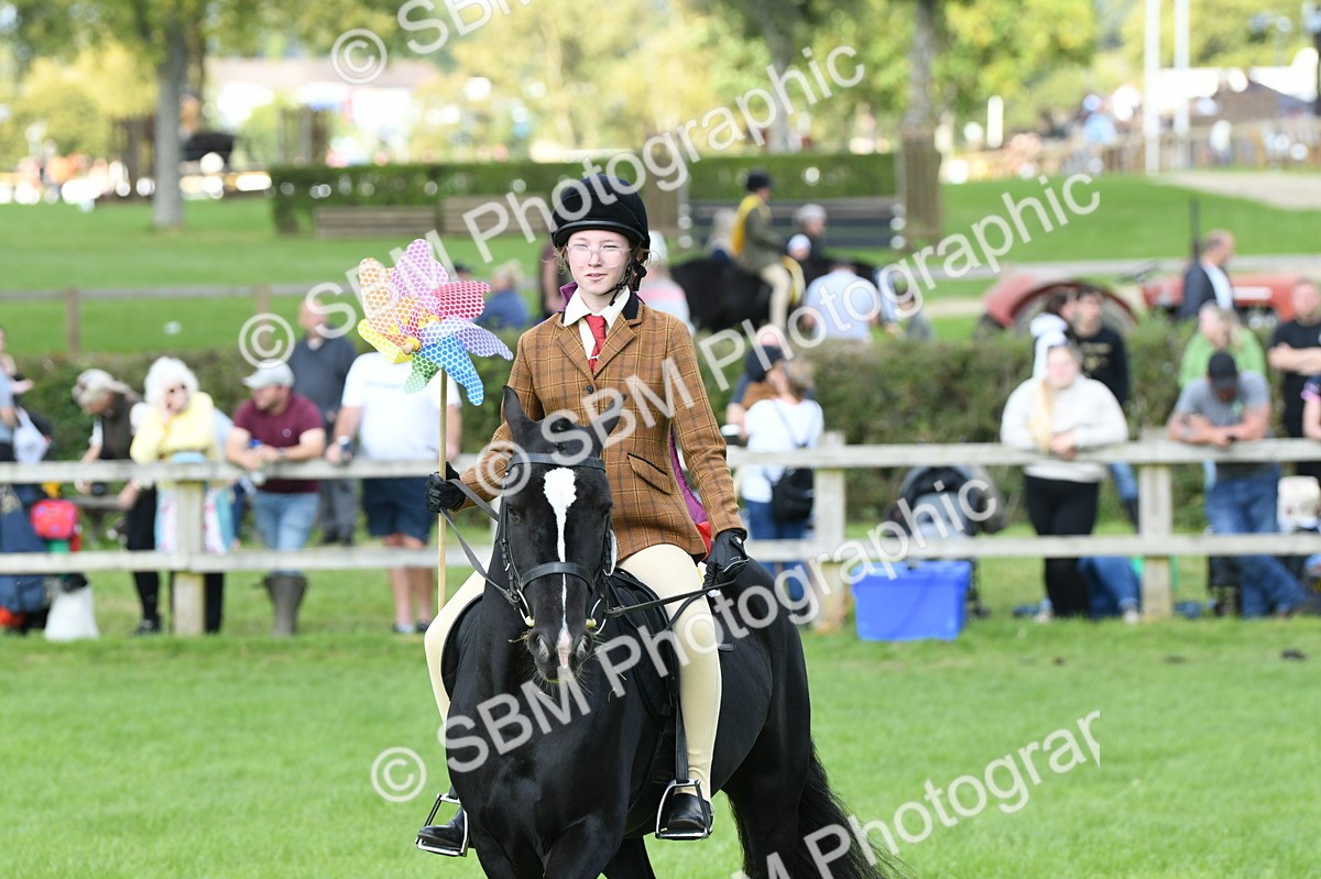 SBM_47068 - S12 - Family Horse & Pony