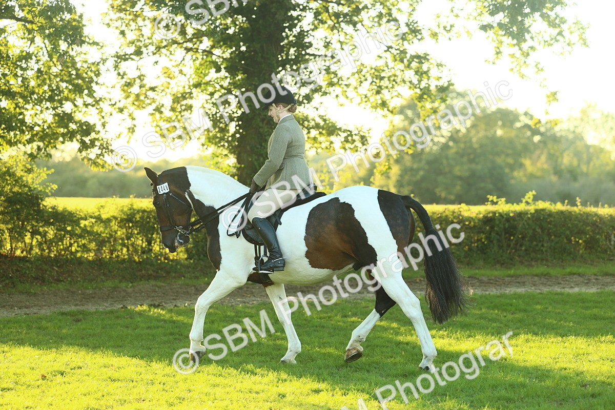 SBM_56484 - S14 - Riding Club Horse