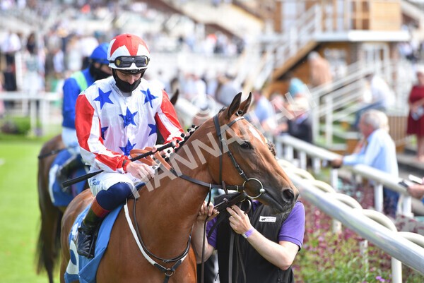 yr09072021r3-12 - Race 3 3.15pm William Hill Pick Your Places Irish EBF Novice Stakes