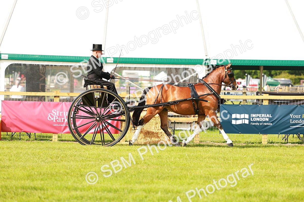 SBM_01156 - Class 2-4 - HOYS Private Driving