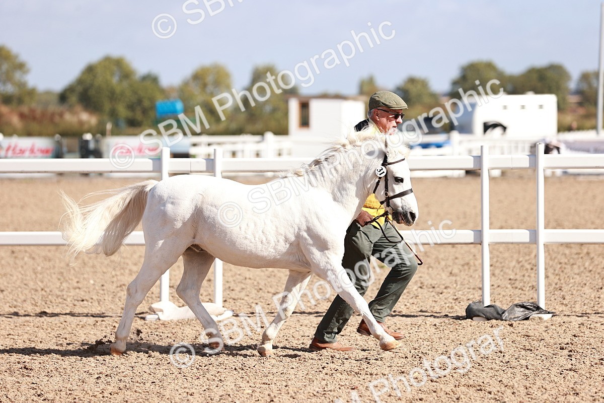 SBM_22765 - Class 705 - IH Combination 65+