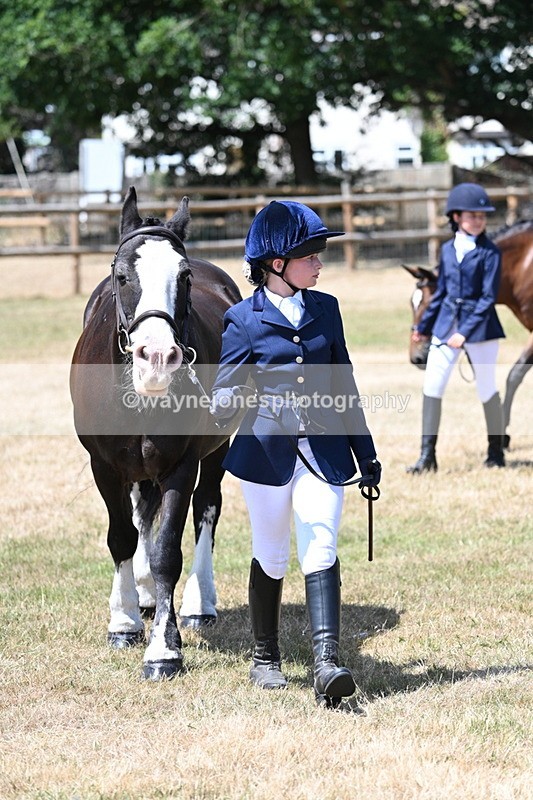 WJ7_2213 - Class 5 Most Handsome Gelding (up to 14.2hh) in hand