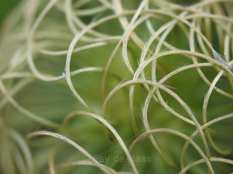  - Nature's Wonders
