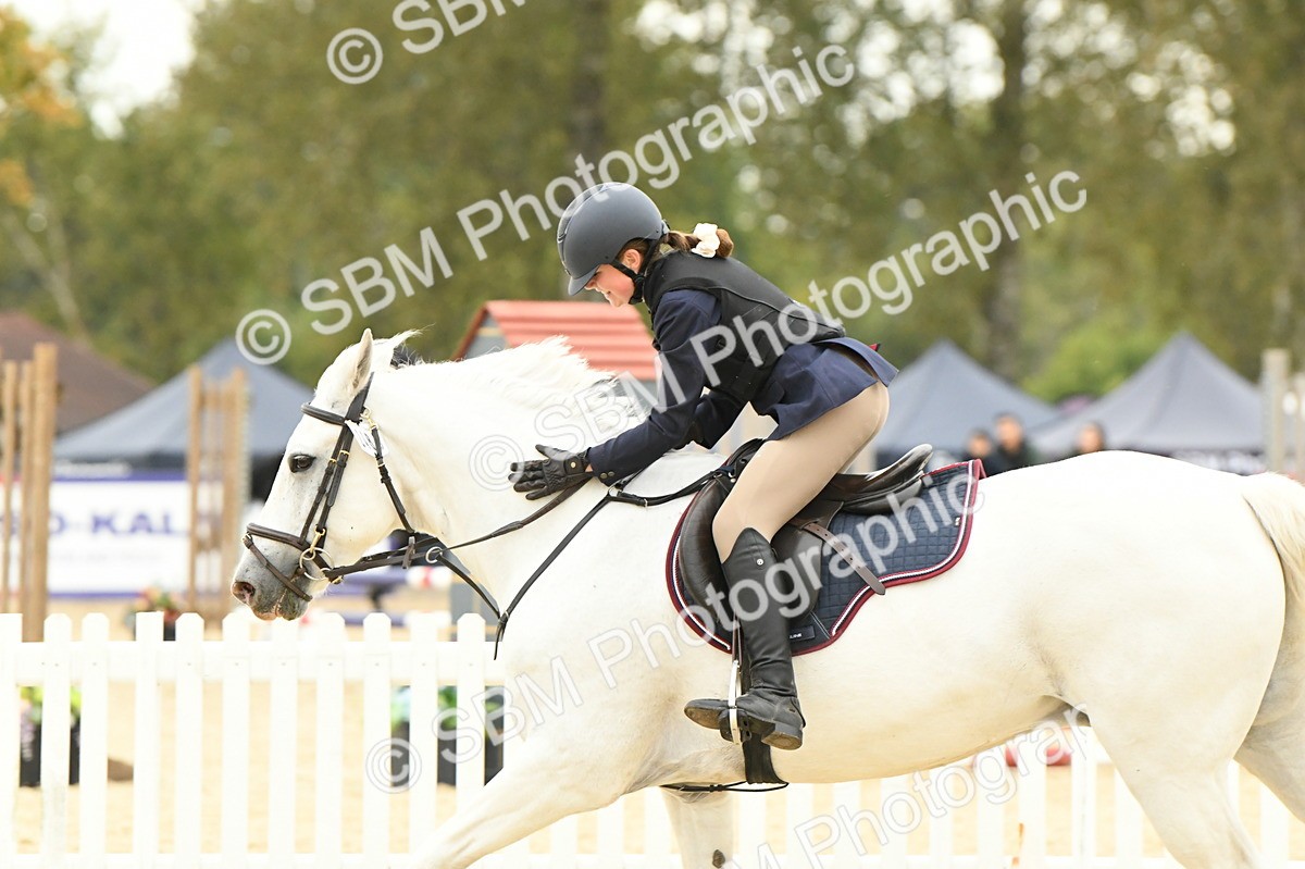 SBM_73252 - J16 - Junior Pony 75cm Championship