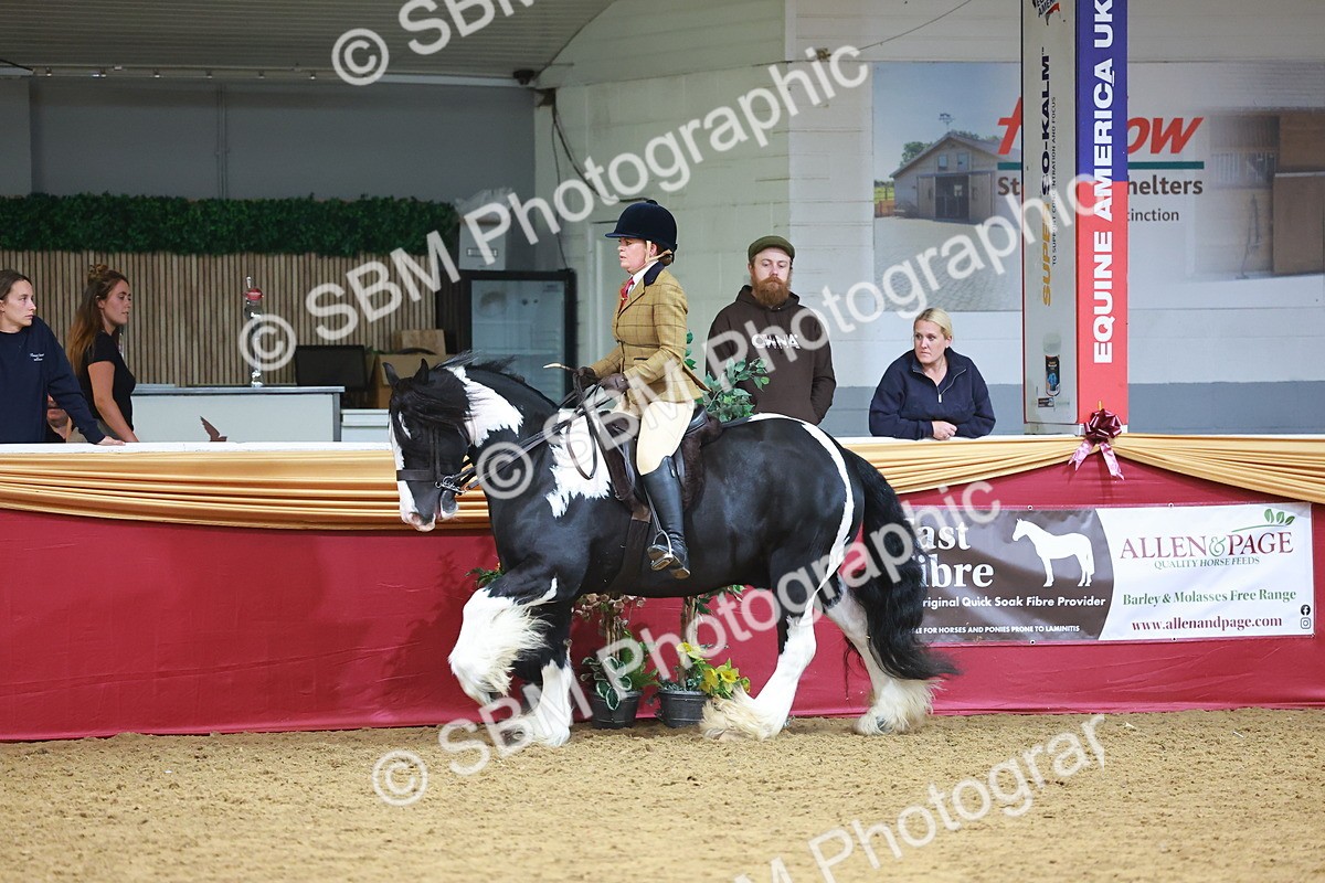 SBM_06283 - Class 12R - Ridden Pre-Vet