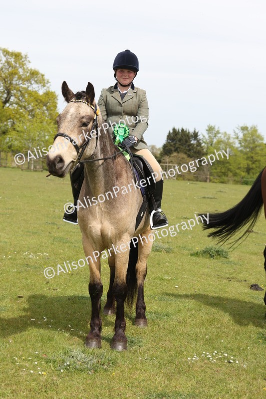 20260426-4436 - Class 34 - Best Riding Horse Over 14.2hh