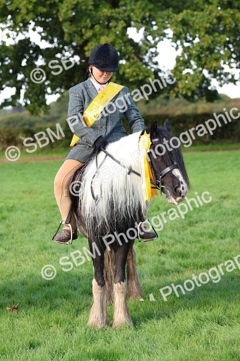 SBM_36951 - S11 - Best Ridden Horse & Pony