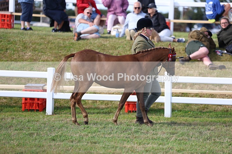 3E7A3795 - Supreme Championship