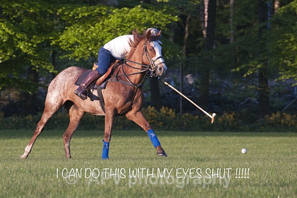 _DSC8277 - POLO Training