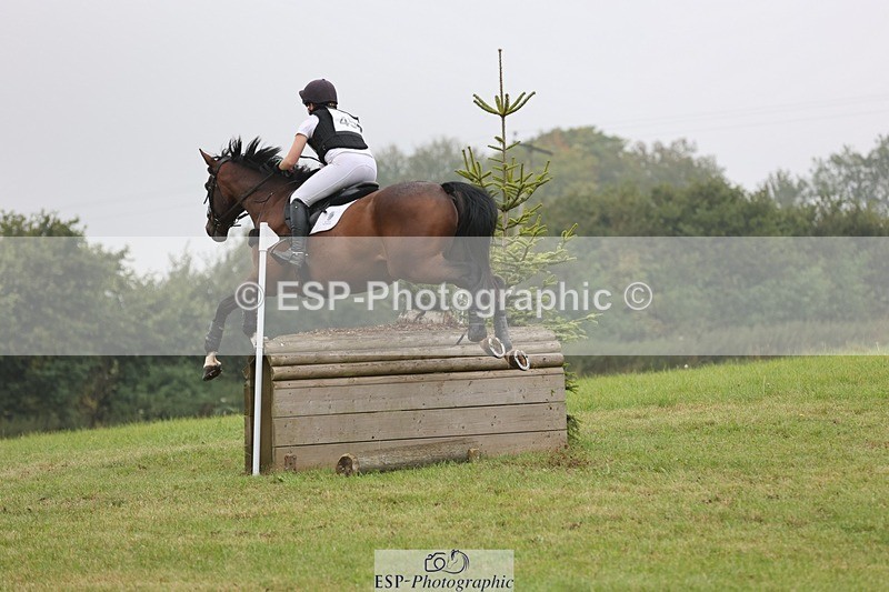 240901A-112022-06246 - 455-Bel.Wright-KING.BILL