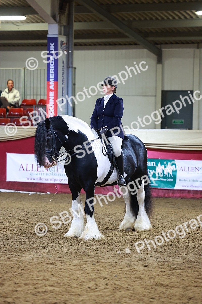 SBM_15527 - Class R - Veteran Champ