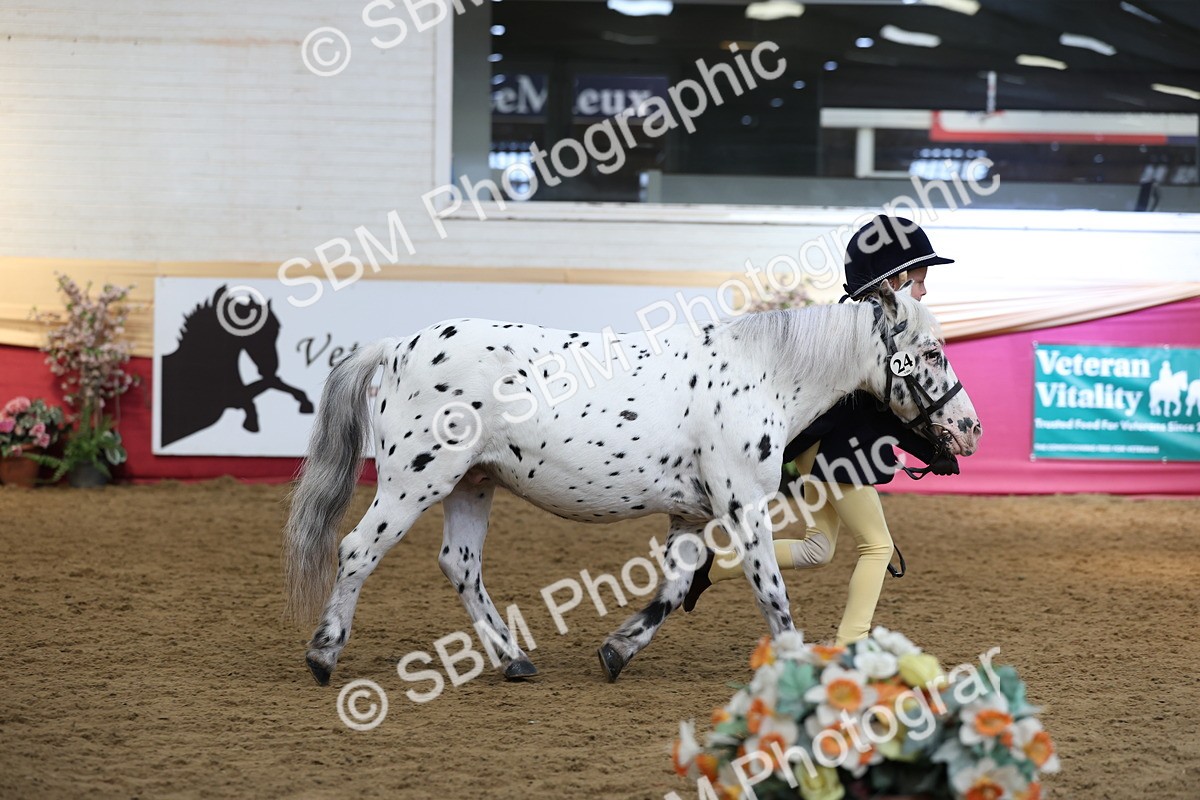 SBM_24115 - Class 905 - Supreme Final - Ridden Veteran
