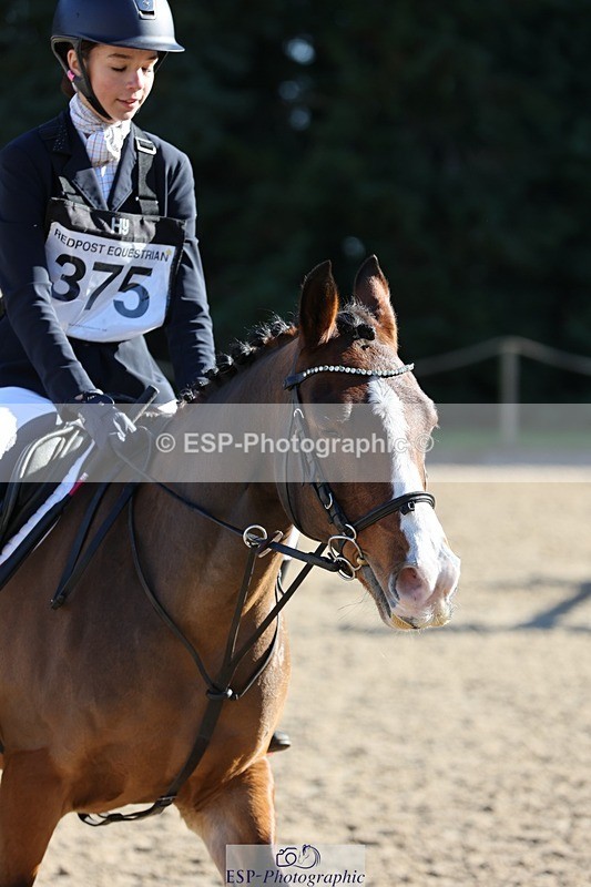 241027-112228-16738 - 375-Erin.Brown-50.SHADES.OF.BAY