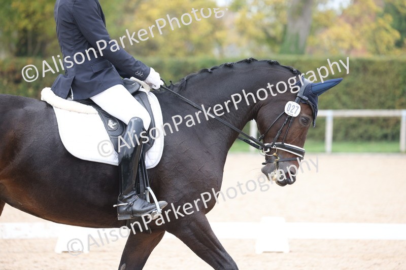 20251012-0932 - Class 11 - Advanced 2