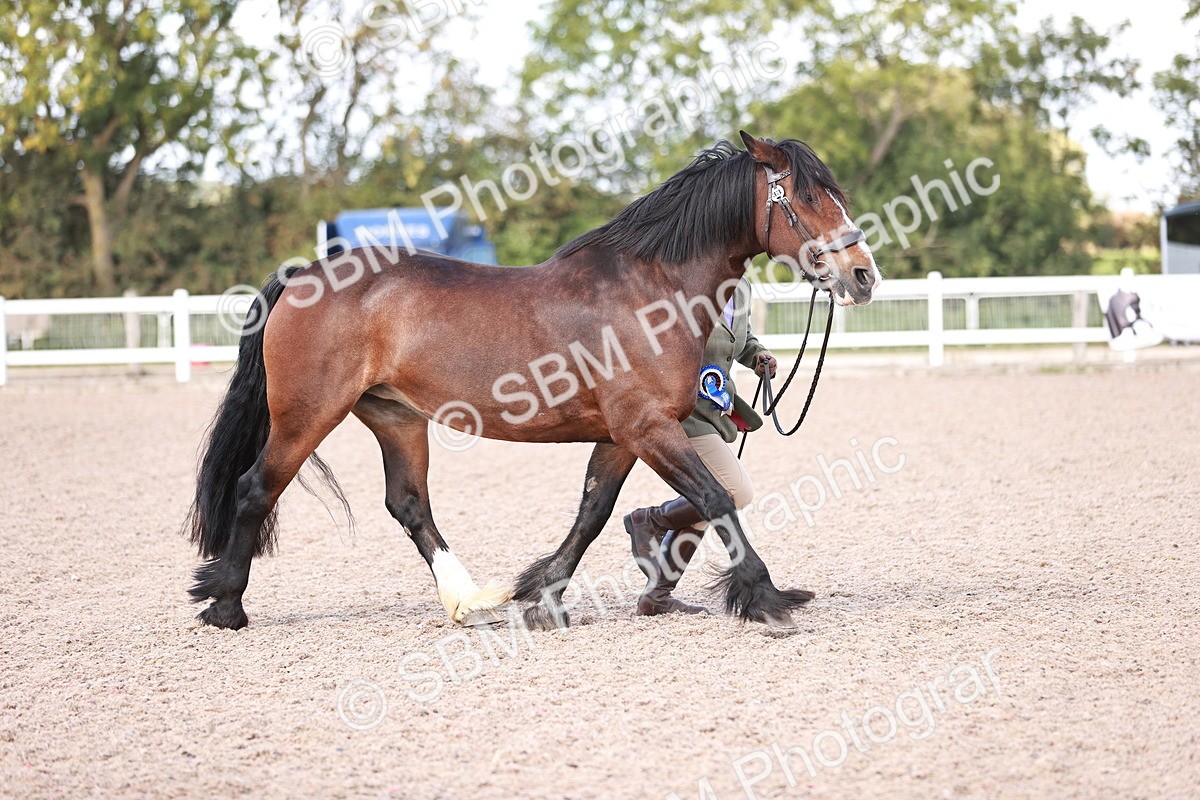 SBM_22929 - Class 706 - IH Veteran