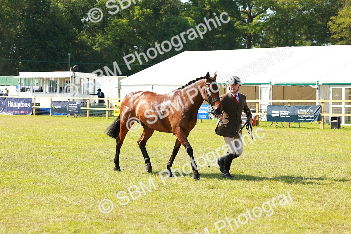 SBM_12076 - Class 66-69 - RIHS Ridden Hunters Inc Small Hunter
