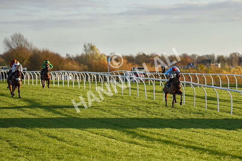 241123-Race 5-Bugise Seagull-7520 - Race 5