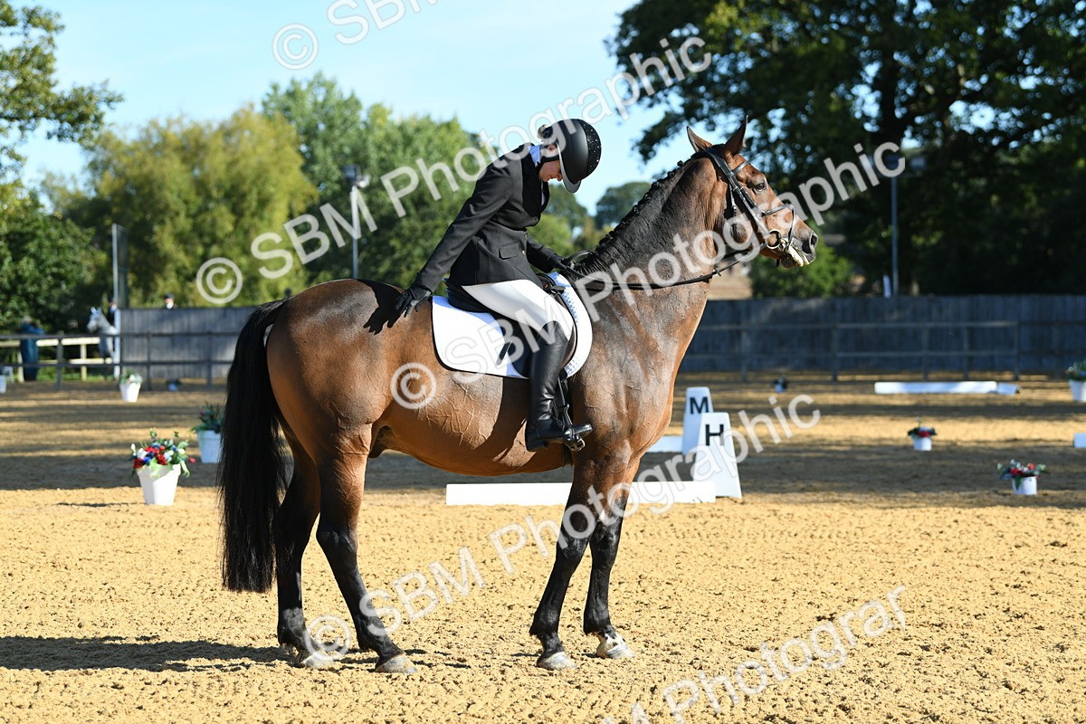 SBM_16203 - D4 - Small Tour Championship - Intro B