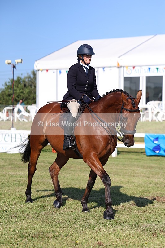 3E7A5507 - Class 2: Rising Star Large Hack/Riding Horse