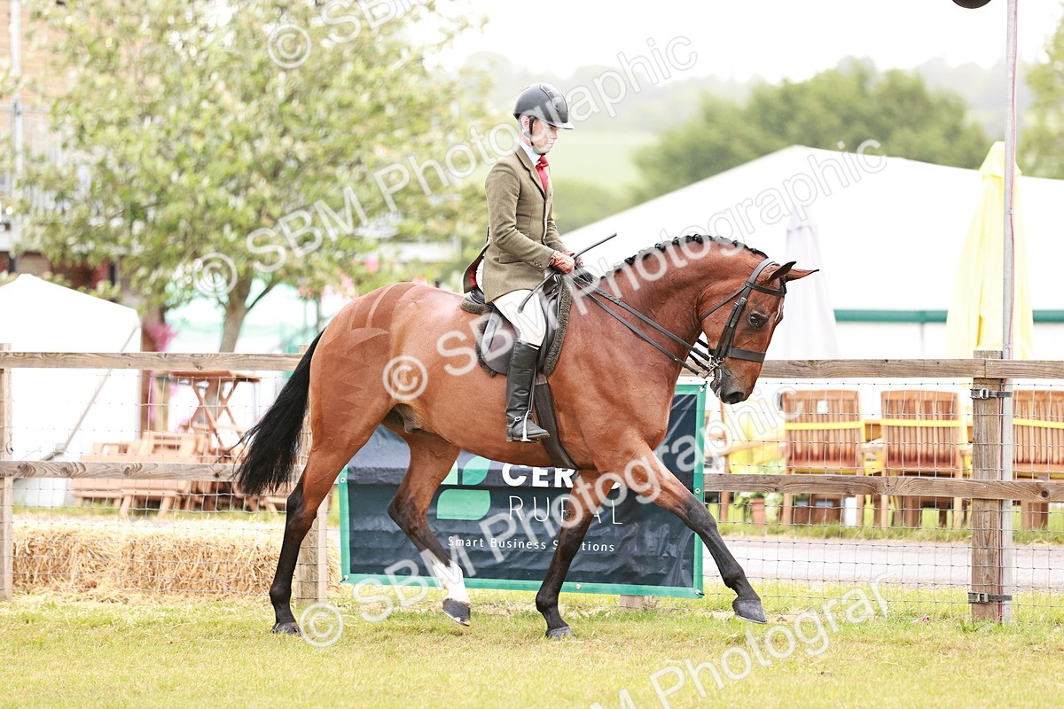 SBM_10752 - Class 81-84 - RIHS Ridden hunters Inc Ladies Hunter