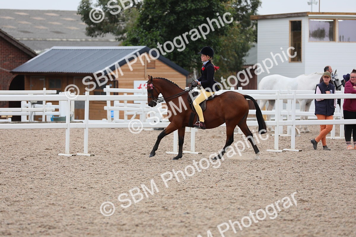 SBM_18094 - Class 316 Best Pony/Rider Combination