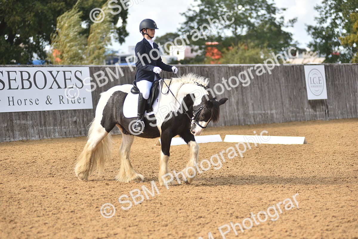 SBM_48858 - D22 - Junior Championship Intro 3