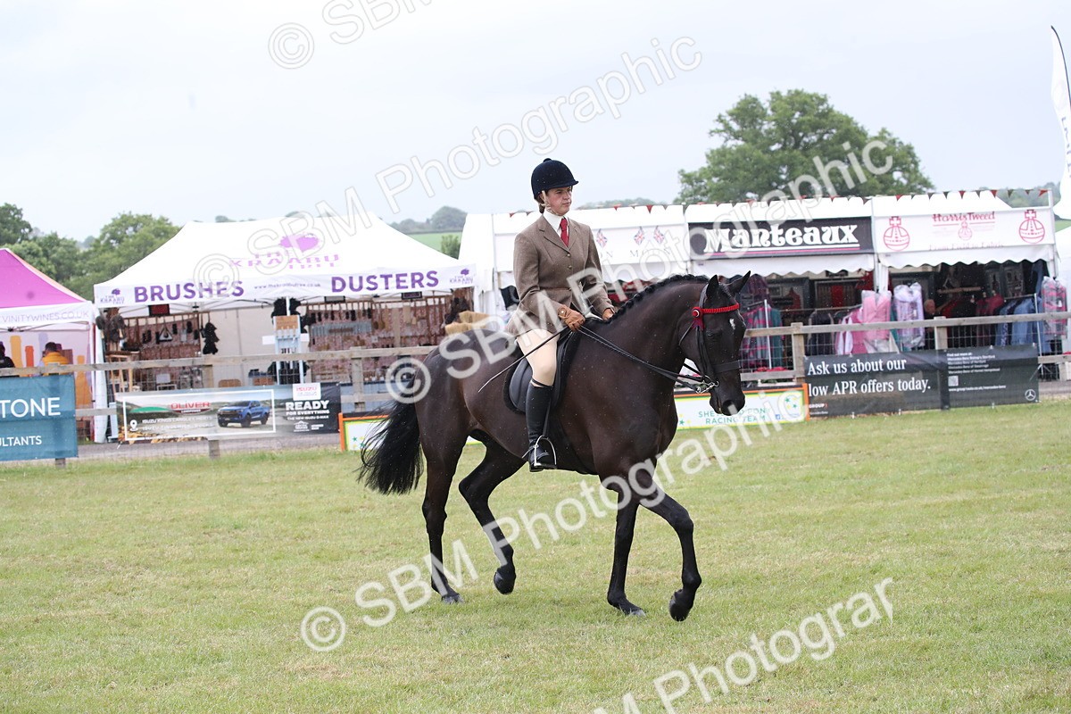 SBM_11441 - Class 94 - LIHS BSHA Racehorse to Showhorse