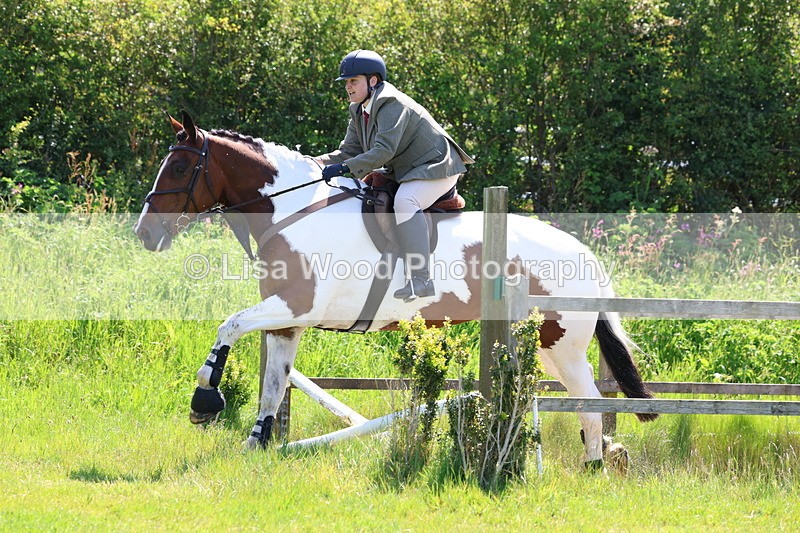 3E7A6881 - Class 30: Novice Working Hunter