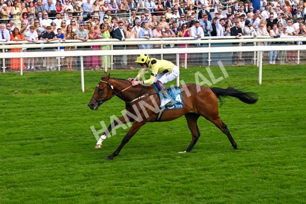 280625-Race 4-Hankelow-0529 - Race 4 3.40pm Al Basti Equiworld Dubai Novice Stakes