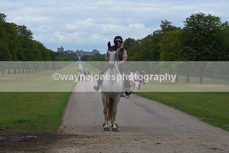 TT3_9689 - Time at Crossing 11:28 to 13:16