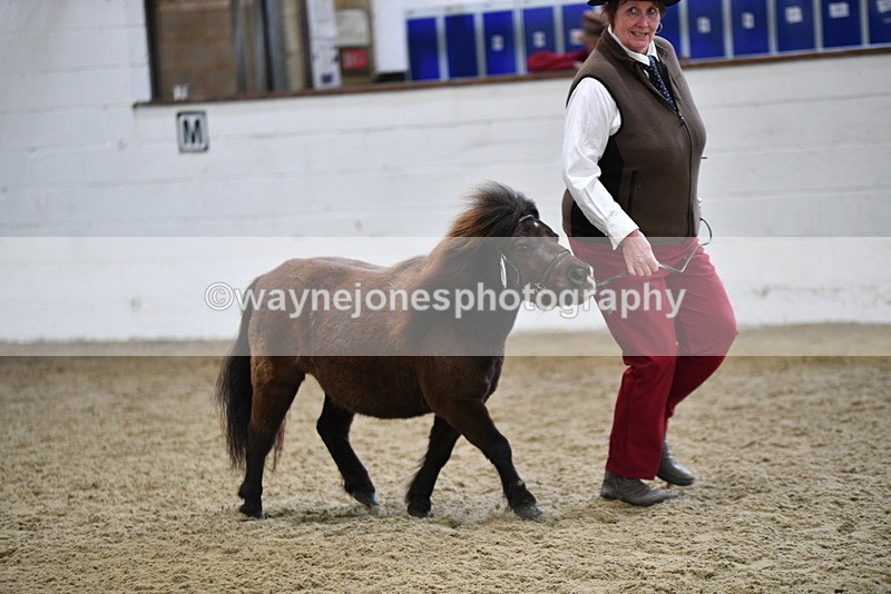 WJ5_5245 - Class 4 In hand M&M - small breeds