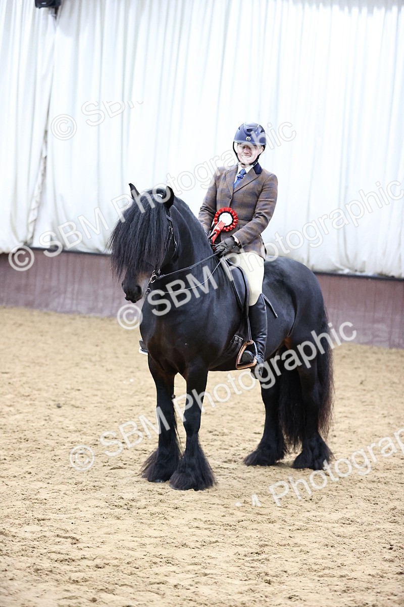 SBM_6559 - Class 43 - Ridden Native Breeds