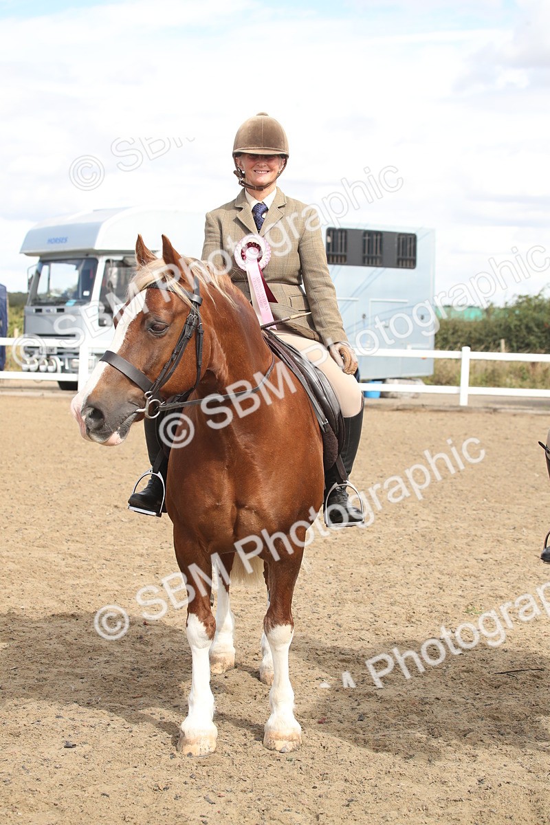 SBM_14601 - Class 505a - M&M Working Veteran - 50cm (15-19)