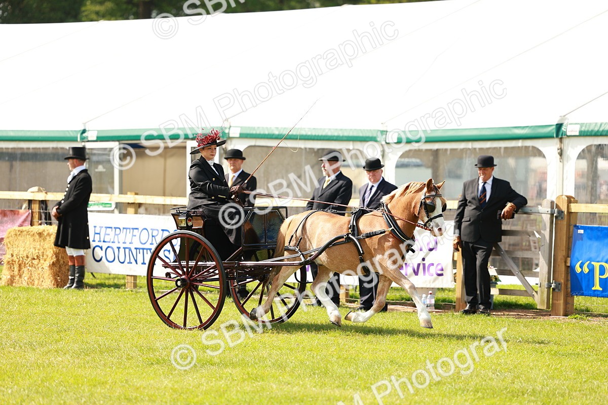 SBM_02542 - Class 2-4 - HOYS Private Driving
