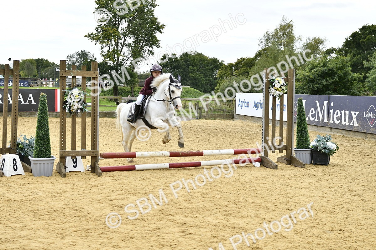 SBM_65540 - J2a mini Tour Junior Pony 30cm Championship